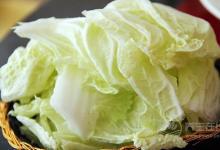 便秘、腸胃不健康就吃它 最強排毒蔬菜——白菜