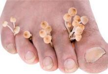 喝什么粥減肥效果好?