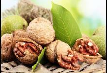 核桃真的能補腦嗎？核桃的營養價值有多高