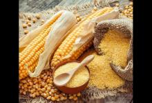 減肥不見效果?這三種早餐讓你瘦的更快