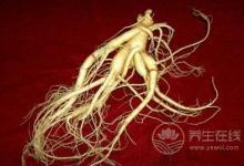 哪六類人與人參無緣 服用人參的禁忌有哪些