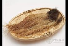 玉米須煮水喝才是養生高手，勝過這5種藥