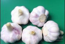 別嫌大蒜味大，它的功效卻很大