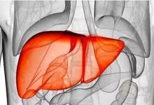 做夢睡不好是因為“血虛”，教你如何養血，從根本解決身體病灶