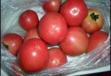 早餐可以空腹吃蘋果嗎？