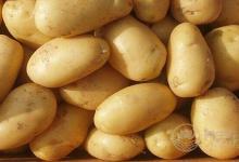 土豆減肥法的原理，土豆減肥法一天瘦一斤