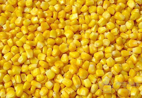 常吃玉米有4大好處，它的須別扔！也很養生