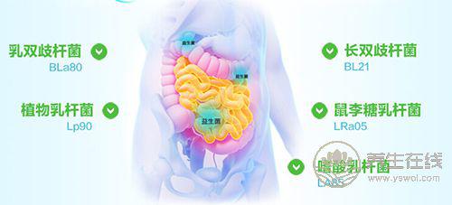 拉肚子腹瀉怎么辦？吃點益生菌好得快