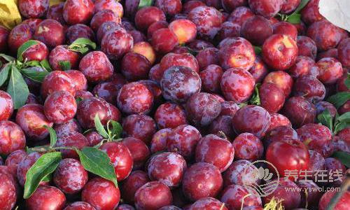 生活中的“純天然藥”,平時都吃得到 生活中的“純天然藥”,平時都吃得到