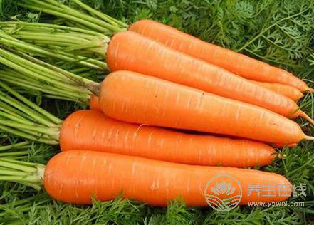 漲姿勢！這些食物竟然都能防脫發