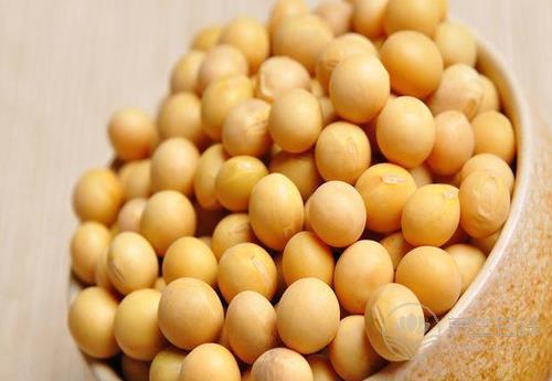 胃不好的人，這幾種食物還是少吃為好