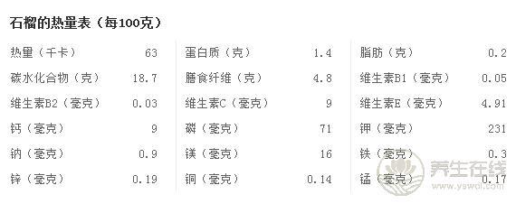 石榴不能和什么一起吃