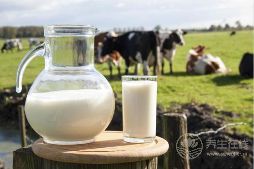 胃不好多吃這5種食物，助消化、減疼痛、修護胃黏膜