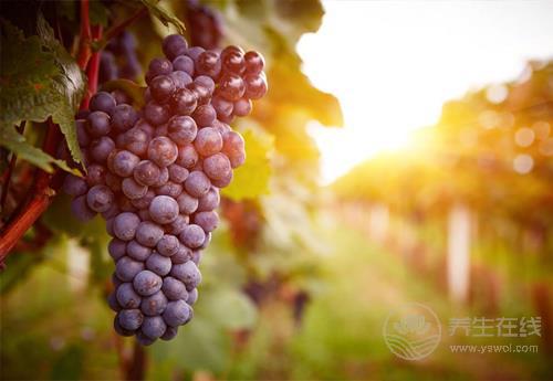 葡萄好吃營(yíng)養(yǎng)高，但也別小看了它的皮，渾身都是寶