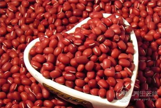 什么東西最養(yǎng)肝？4類不起眼的食材竟是肝臟守護(hù)神！