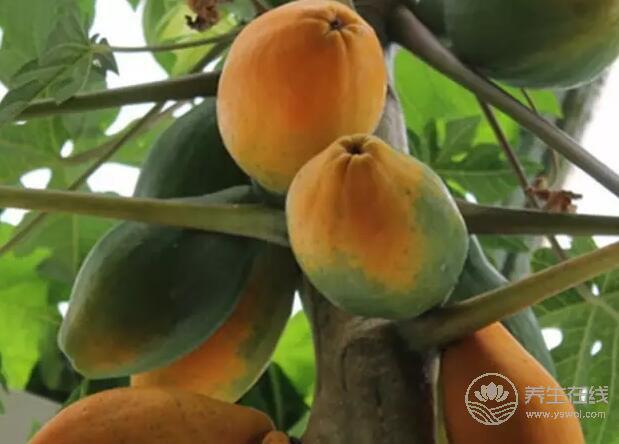 常吃十種食物，拯救痘痘肌膚