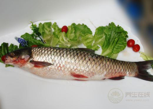 魚肉鮮嫩可口，6種常見魚類的養生作用，你不得不知