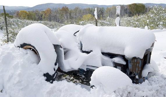 大雪養生|您不得不看的食療益氣補血養生法