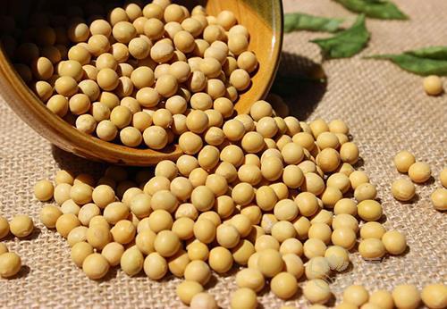 胃不好忌吃這7種食物