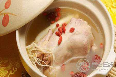 靈芝高血壓者可以吃嗎?