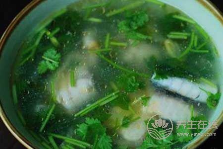 靈芝高血壓者可以吃嗎?