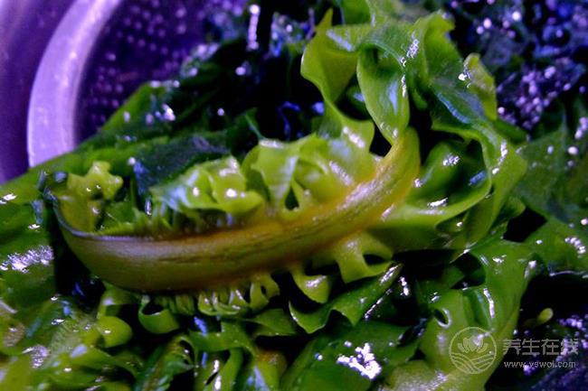 常吃這些菜不受血栓困擾，清理血管垃圾