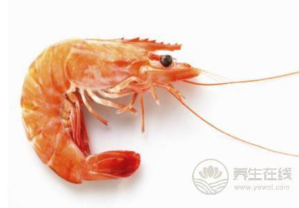 龍蝦不能和什么一起吃?吃蝦的禁忌須注意 龍蝦不能和什么一起吃?吃蝦的禁忌須注意