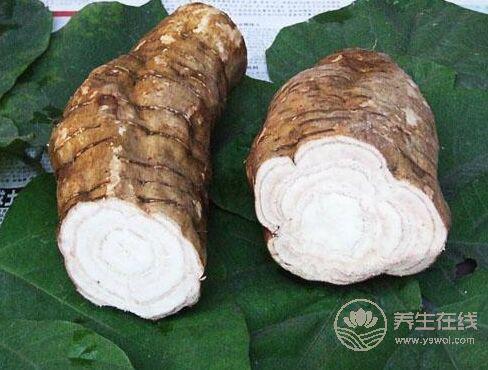 粵語中那些用來罵人的食物，敢問你懂得幾個？