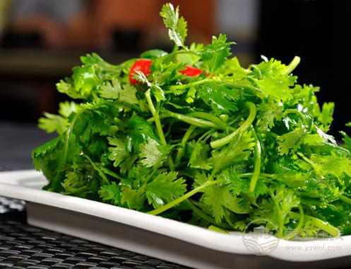 香菜是個寶，健胃消食營養豐富，可惜很多人不愛吃