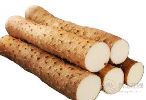 常吃淮山好處多，你知道嗎？