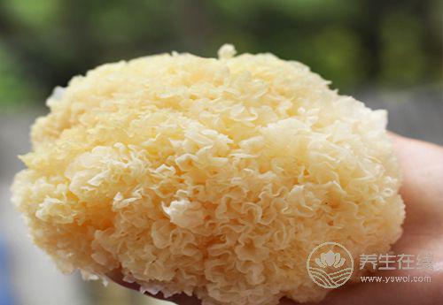 適合女性的食物，常吃能滋潤肌膚有光澤