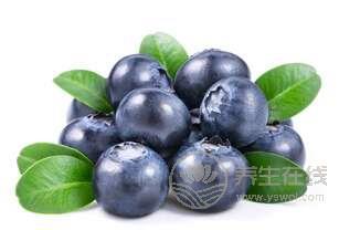 吃藍莓能逆轉肝硬化