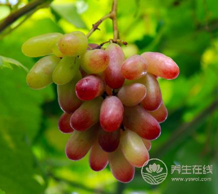 吃提子時皮澀怎么處理？4招解決方式