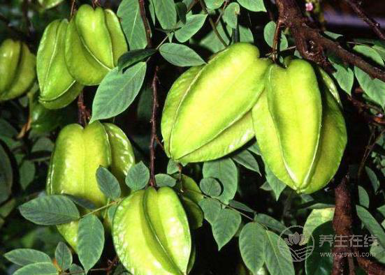 楊桃有什么營(yíng)養(yǎng)價(jià)值楊桃的食用注意事項(xiàng)