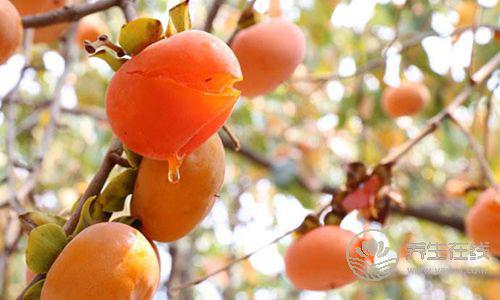 口腔潰瘍粘人數天,用6種常見的食物趕走它! 口腔潰瘍粘人數天,用6種常見的食物趕走它!