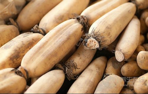 消炎止痛的4種食物，口腔潰瘍一吃就好