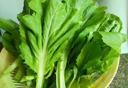 肝臟不好了，多吃這幾種食物，能促進肝毒排出，養肝護肝