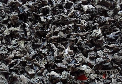 8月份的養生蔬菜有哪些？看看有沒有你喜歡吃的