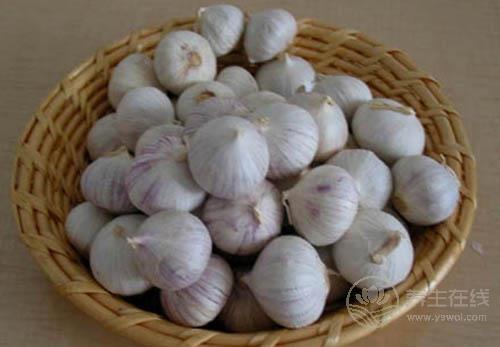 治胃病小能手，推薦這6種日常食物