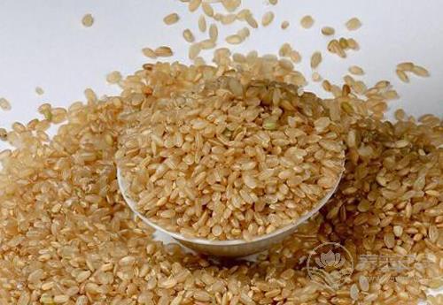 常用糙米煮飯吃，能收獲這幾大好處