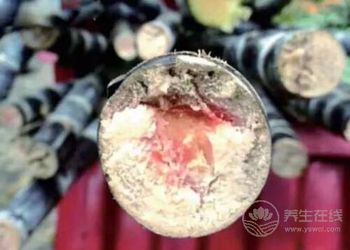 這幾種食物爛了別吃，傷肝傷腎