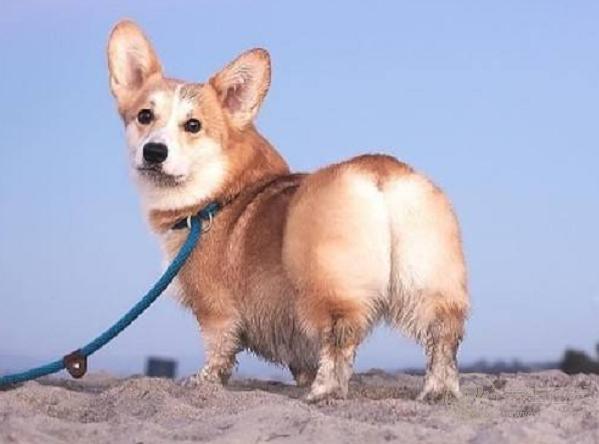 5得了痔瘡怎么治？這么做最有效！