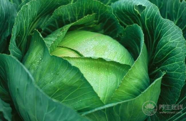 5種食物是血管清道夫，多吃保護血管