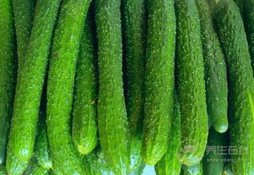 這些瓜，養生作用大，別忘了要多吃