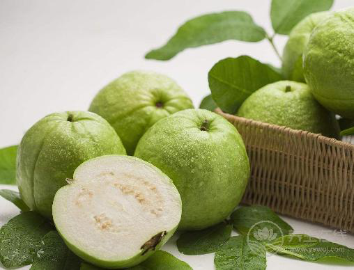 這5種水果，堅持每天吃一個，營養健康跑不掉