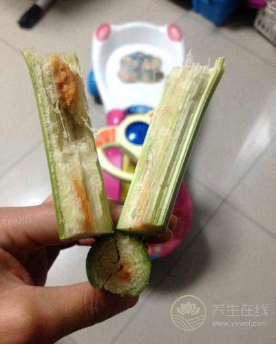 水果爛了一部分，挖掉剩下的還能吃嗎？