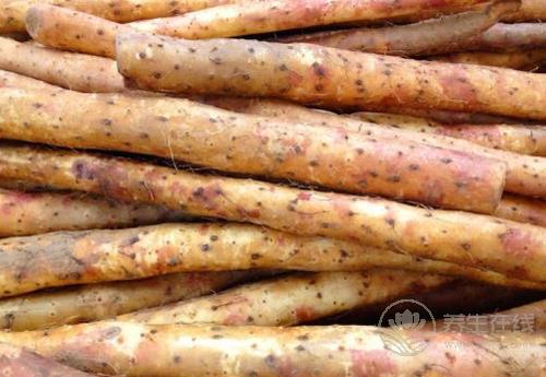 常吃淮山好處多，你知道嗎？