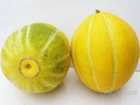 香瓜肚里竟然長芽了正?，F(xiàn)象但不建議食用