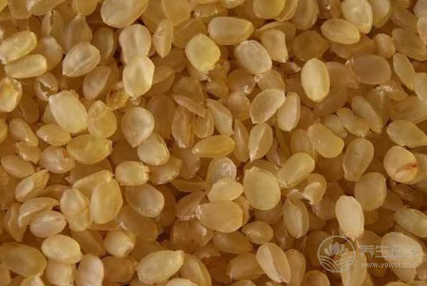 皂角米的功效與作用及注意事項