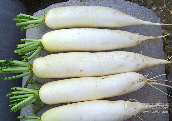 實用的買菜技巧，天天吃上新鮮菜